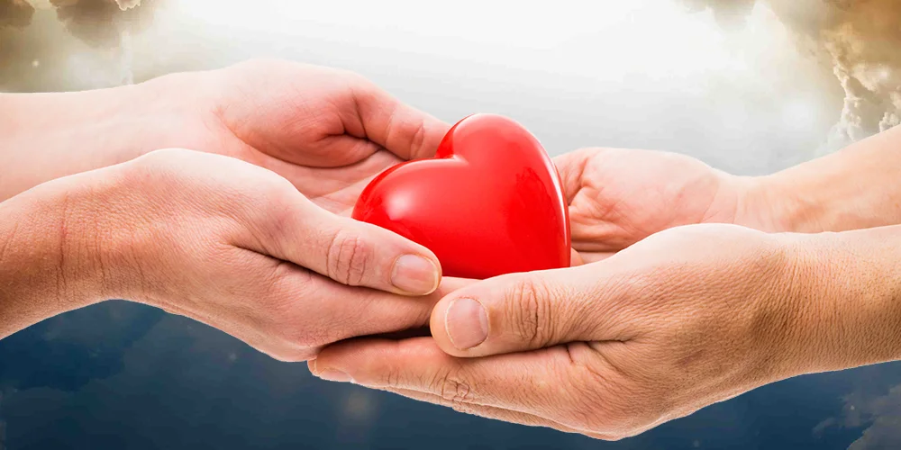 Make A Donation Online
